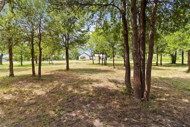 7925 Hayride Rd, Del Valle, TX 78617 - photo 30