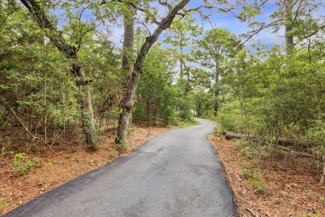 222 Pony Express Dr, Smithville, TX 78957 - view of street featuring a forest view
