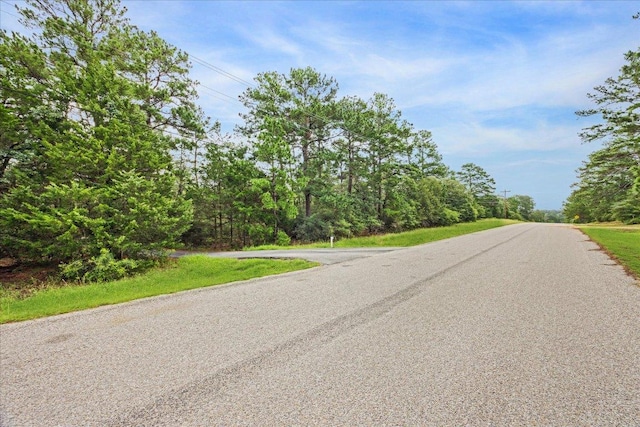 222 Pony Express Dr, Smithville, TX 78957 - view of asphalt road