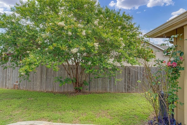 15300 Lucian St, Austin, TX 78725 - view of yard