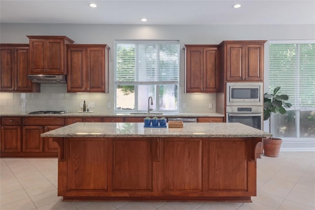 2279 Fernspring Dr, Round Rock, TX 78665 - photo 11