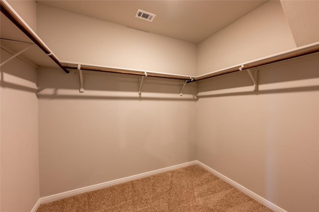 124 Ballyneal Ln, San Marcos, TX 78666 - walk in closet featuring carpet