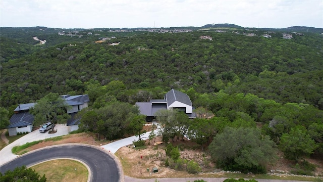 18845 Hidden Ridge Pl, Jonestown, TX 78645 - photo 32