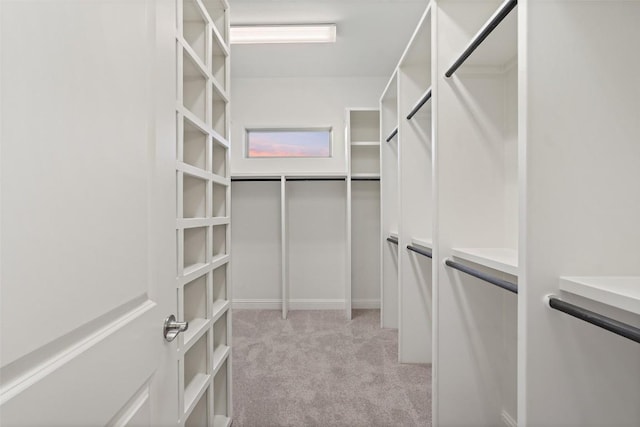 405 Maialina Cv, Lakeway, TX 78738 - walk in closet with light colored carpet