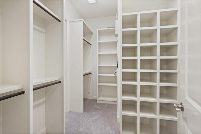 405 Maialina Cv, Lakeway, TX 78738 - walk in closet featuring carpet flooring