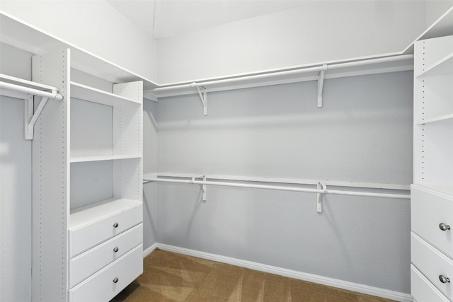 2132 Ocallahan Dr, Austin, TX 78748 - photo 22