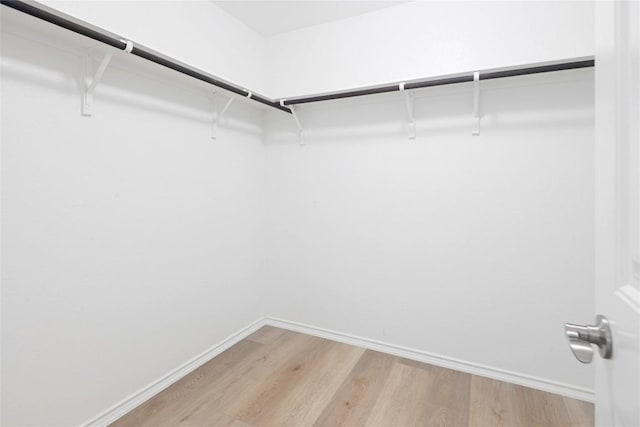 10205 Gertrudis Loop, Austin, TX 78747 - walk in closet featuring light wood-type flooring