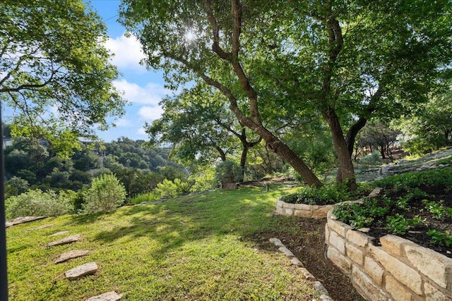 19426 Fisher Ln, Spicewood, TX 78669 - view of grassy yard