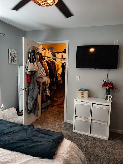 1725 Harvey Mitchell Pkwy S Unit 225, College Station, TX 77840 - carpeted bedroom featuring a walk in closet, a closet, and a ceiling fan