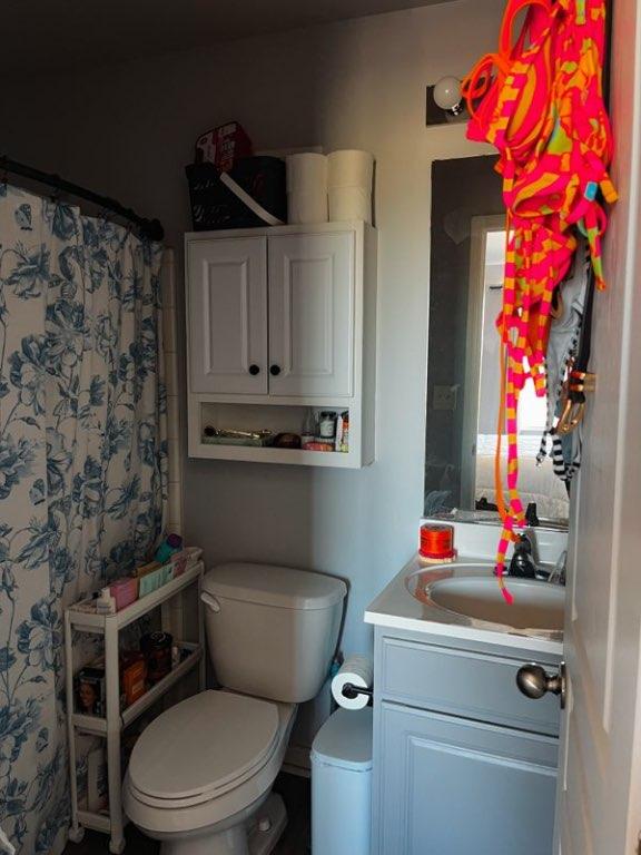 1725 Harvey Mitchell Pkwy S Unit 225, College Station, TX 77840 - bathroom featuring vanity and a shower with curtain