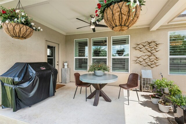 123 Hanging Star Ln, Georgetown, TX 78633 - photo 25