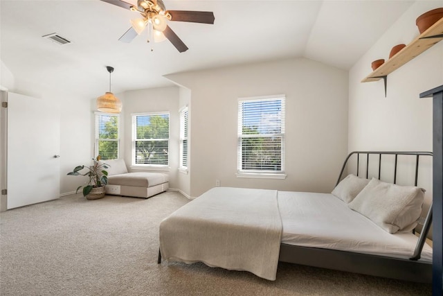 903 Thackeray Ln, Pflugerville, TX 78660 - bedroom with carpet and vaulted ceiling