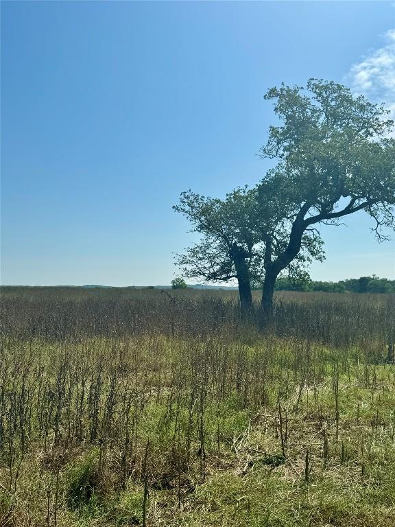5411 Tenney Creek Rd, Luling, TX 78648