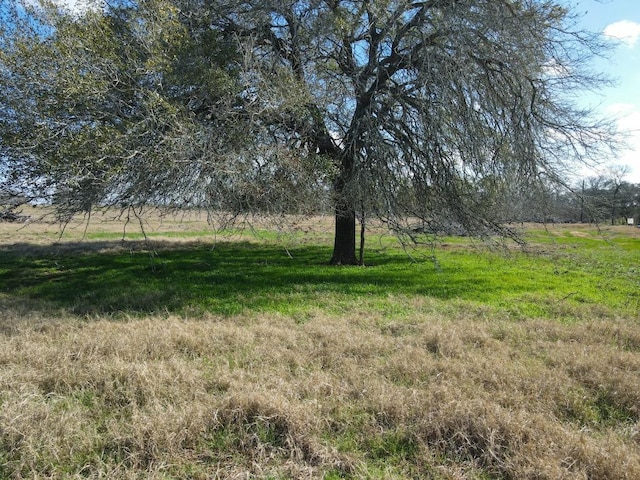 5411 Tenney Creek Rd, Luling, TX 78648 - photo 2