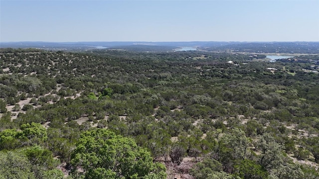 510 SW Pace Bend Rd S Unit 1, Spicewood, TX 78669 - photo 8