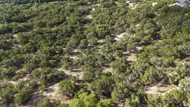 510 SW Pace Bend Rd S Unit 1, Spicewood, TX 78669 - photo 10