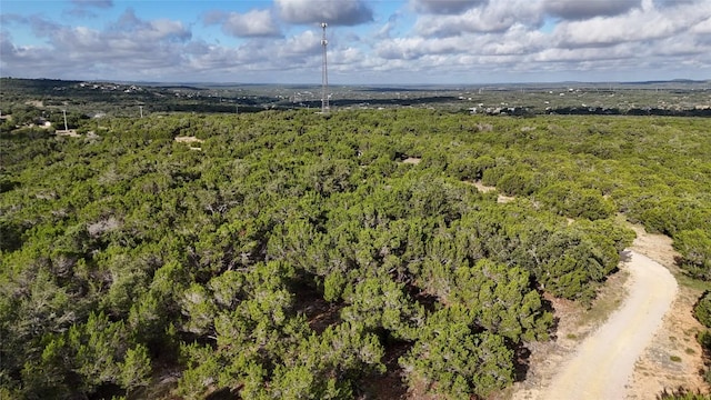 510 SW Pace Bend Rd S Unit 1, Spicewood, TX 78669 - photo 1