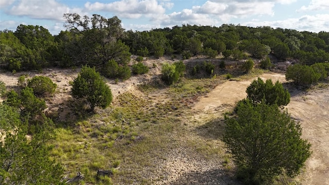 510 SW Pace Bend Rd S Unit 1, Spicewood, TX 78669 - photo 13