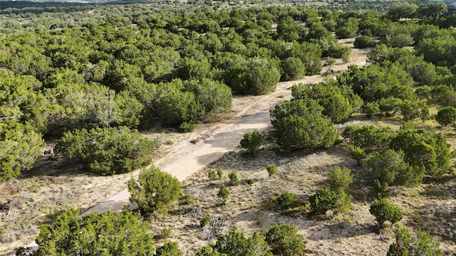 510 SW Pace Bend Rd S Unit 1, Spicewood, TX 78669 - photo 20