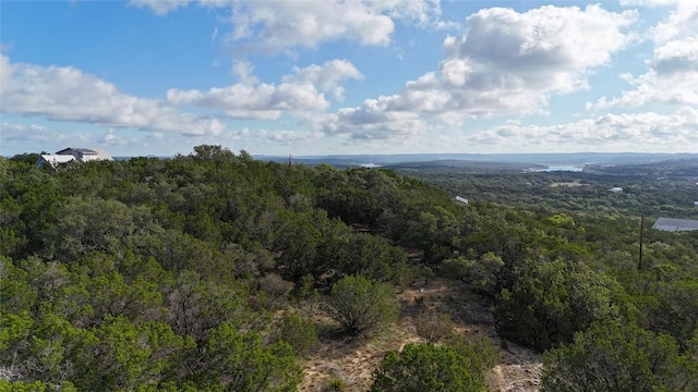510 SW Pace Bend Rd S Unit 1, Spicewood, TX 78669 - photo 14