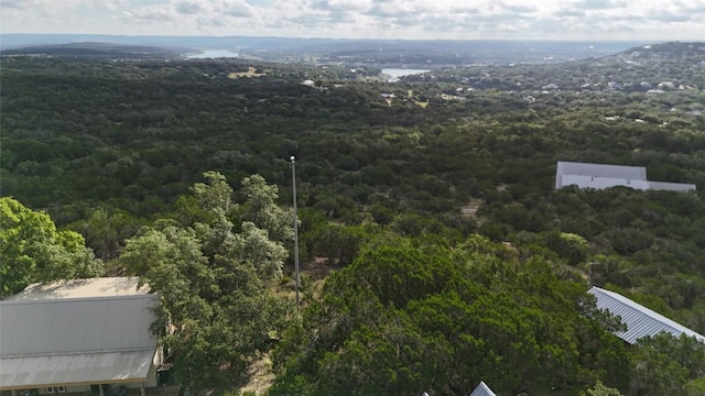 510 SW Pace Bend Rd S Unit 1, Spicewood, TX 78669 - photo 21