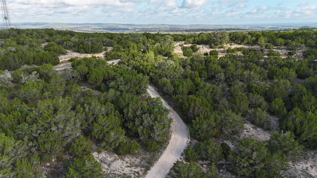 510 SW Pace Bend Rd S Unit 1, Spicewood, TX 78669 - photo 3