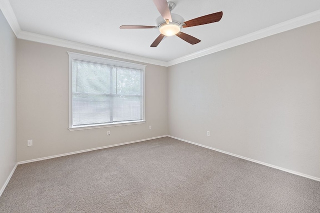 1514 Thibodeaux Dr, Round Rock, TX 78664 - photo 17