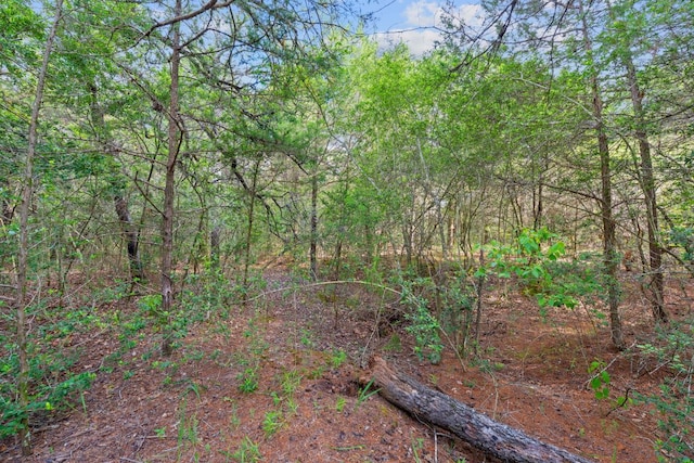 1958 Fm 535, Rosanky, TX 78953