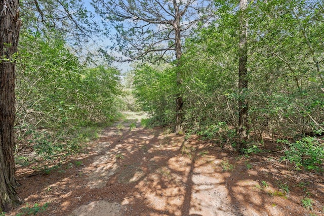 1958 Fm 535, Rosanky, TX 78953
