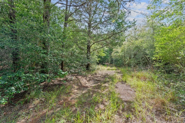 1958 Fm 535, Rosanky, TX 78953