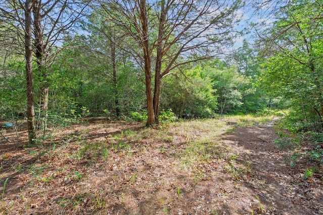 1958 Fm 535, Rosanky, TX 78953