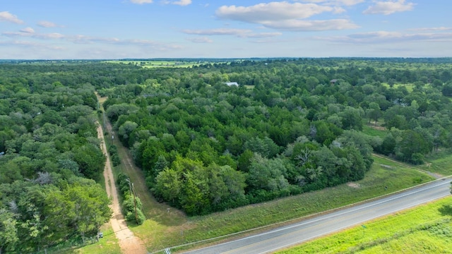 1958 Fm 535, Rosanky, TX 78953