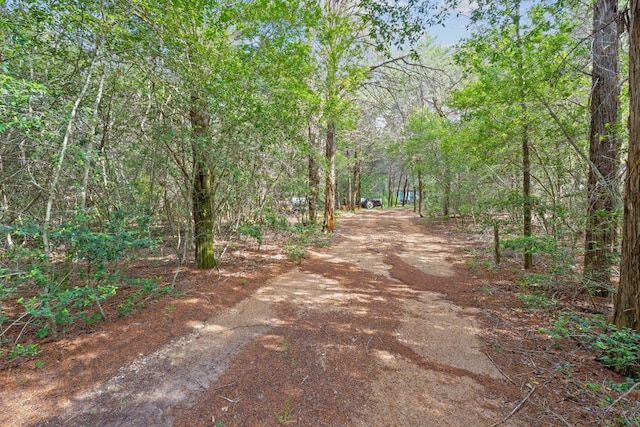 1958 Fm 535, Rosanky, TX 78953