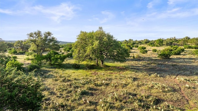 LOT4 Vista Ridge Dr, Round Mountain, TX 78663 - photo 8