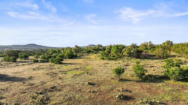 LOT4 Vista Ridge Dr, Round Mountain, TX 78663 - photo 9