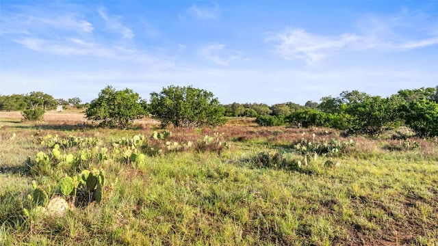 LOT4 Vista Ridge Dr, Round Mountain, TX 78663 - photo 10
