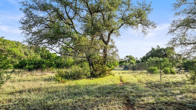 LOT4 Vista Ridge Dr, Round Mountain, TX 78663 - photo 12