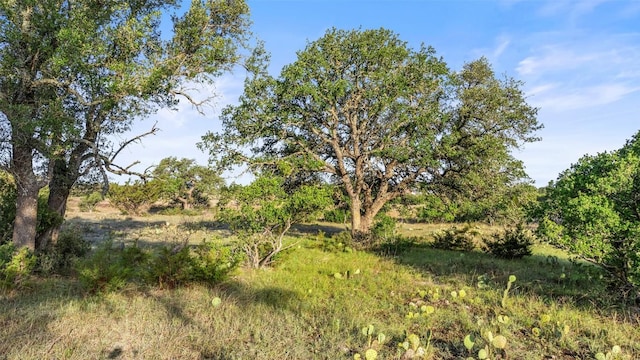 LOT4 Vista Ridge Dr, Round Mountain, TX 78663 - photo 13