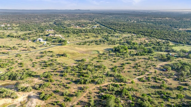 LOT4 Vista Ridge Dr, Round Mountain, TX 78663 - photo 14