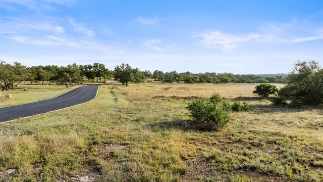 LOT4 Vista Ridge Dr, Round Mountain, TX 78663 - photo 19