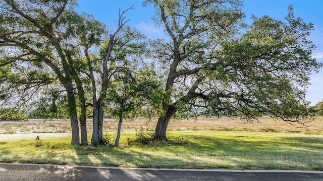 LOT4 Vista Ridge Dr, Round Mountain, TX 78663 - photo 1