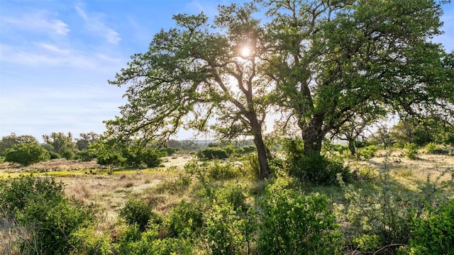 LOT4 Vista Ridge Dr, Round Mountain, TX 78663 - photo 3