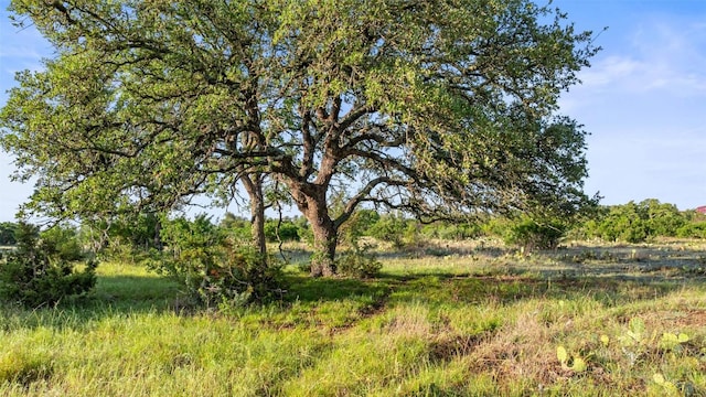 LOT4 Vista Ridge Dr, Round Mountain, TX 78663 - photo 4