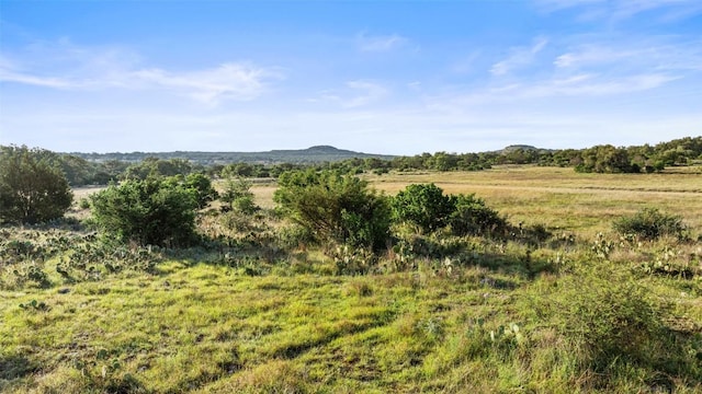 LOT4 Vista Ridge Dr, Round Mountain, TX 78663 - photo 5
