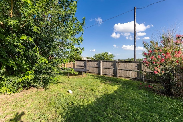 3604 Rosalina Loop, Round Rock, TX 78665 - fenced backyard featuring a trampoline