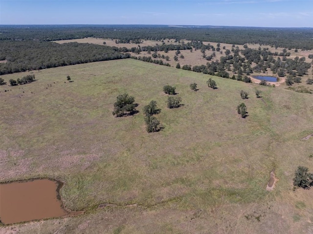 1078 Old Pin Oak Rd Unit 1, Paige, TX 78659