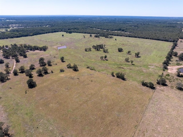 1078 Old Pin Oak Rd Unit 1, Paige, TX 78659