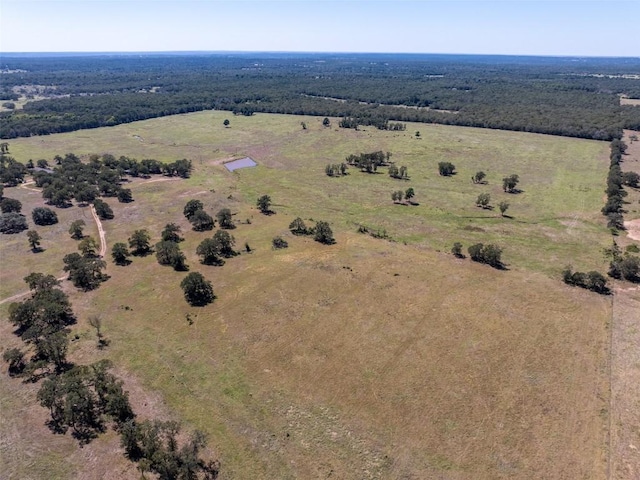 1078 Old Pin Oak Rd Unit 1, Paige, TX 78659