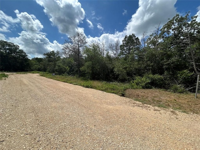 119C Milam Ln, Cedar Creek, TX 78602