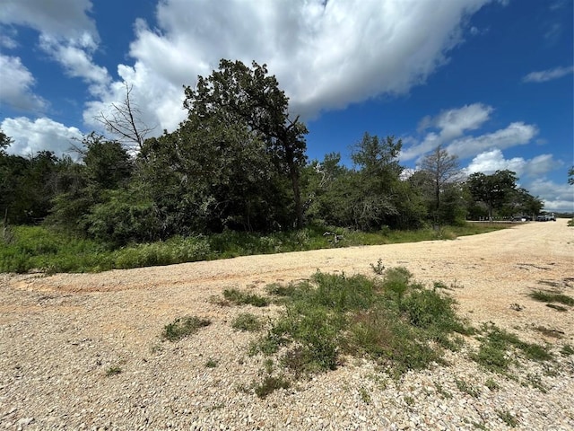 119C Milam Ln, Cedar Creek, TX 78602